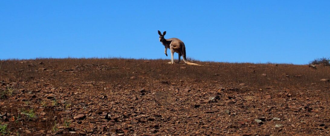 Australia Pacific Vacations