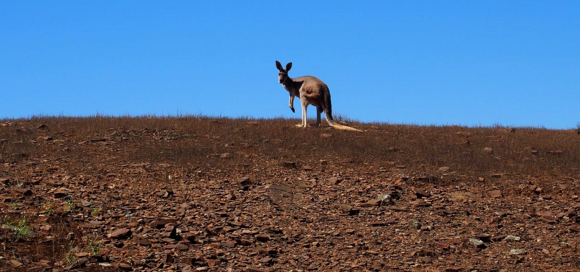 Australia Pacific Vacations