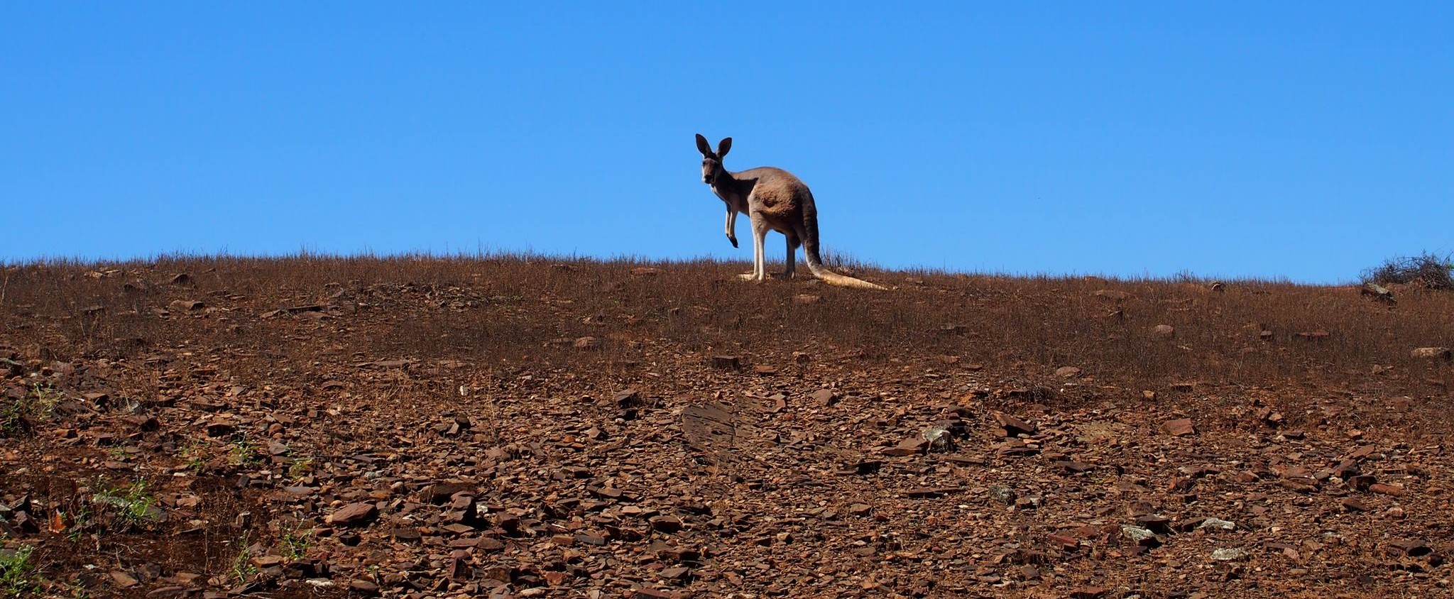 Australia Pacific Vacations