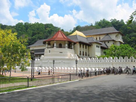 Image Source: LSR Sri Lanka