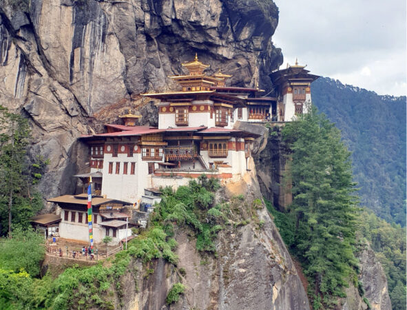 Om Travenza Tours
