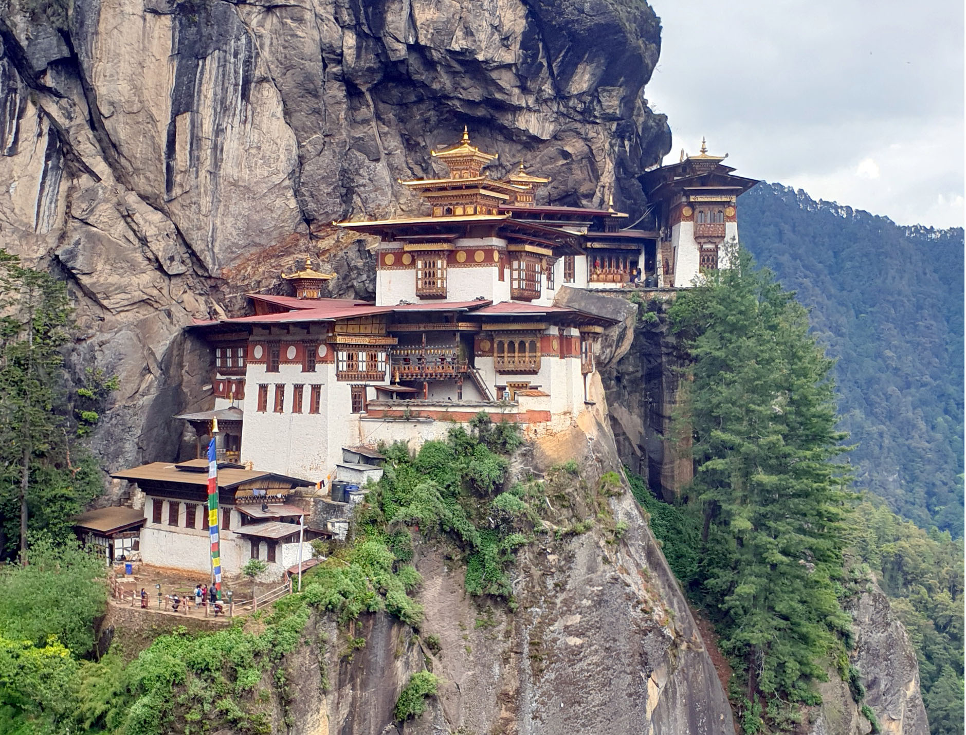 Om Travenza Tours